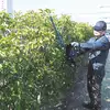 akumulatorowe nożyce do żywopłotu 18V Li-Ion, długość cięcia 60cm, Makita [DUH602Z]