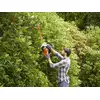 elektryczne nożyce do żywopłotu 50cm, 500W Black+Decker [BEHTS301]