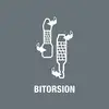 końcówka 1/4" BITORSION  z nasypem diamentowym, rozmiar TX10/25mm, Wera [05066100001]