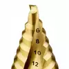 wiertło stopniowe HSS-TIN do metalu, 4,0 - 22,0mm, EXTREME IMPACT, DeWAlt [DT90246]