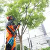 akumulatorowa okrzesywarka z wysięgnikiem 30cm, 2x18V Makita [DUA300Z] Li-Ion, XPT