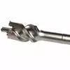 wiertło przebiciowe SDS-max 45-550 [P-21901]