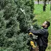nożyce do żywopłotu 55cm, serii Split Boom XR, przystawka do DCMAS5713 DeWalt [DCMASPH6N-XJ]