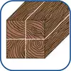 wiertło piórkowe do drewna 32mm [237032001]