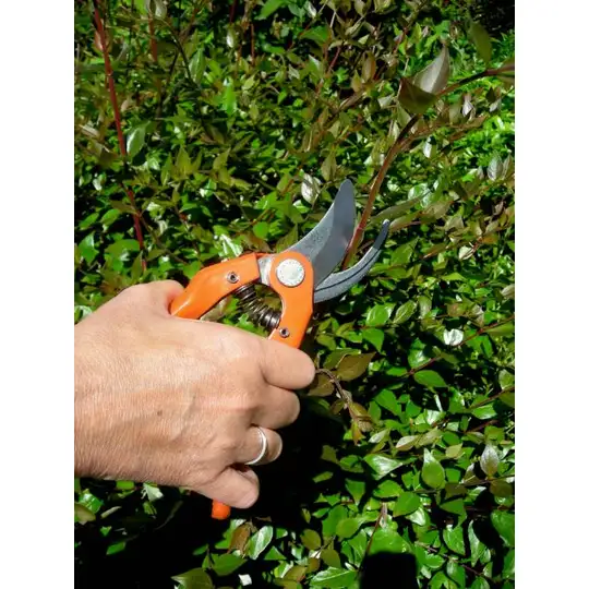 sekator jednoręczny do gałęzi Bahco [P121-18-F]