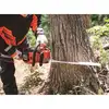 akumulatorowa pilarka łańcuchowa 50cm, 40V max XGT, Makita [UC030GZ03] czerwona