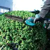 akumulatorowe kompaktowe nożyce do żywopłotu 40V max XGT, długość ostrza 20 cm, Makita [UH023G]