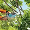 Akumulatorowa pilarka łańcuchowa 25cm, 18V, Makita [DUC258Z]