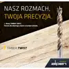 wiertło kręte do drewna 1mm, serii Timber Twist, Alpen [0067100100100]