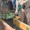 akumulatorowy zagęszczacz do betonu 18V Li-Ion 2x5,0Ah Makita [DVR850RTE]