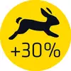 wiertło do metalu HSS-Sprint Master 1,0mm [624001001]