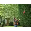 elektryczne nożyce do żywopłotu na wysięgniku B&amp;D 550W/51cm [PH5551]