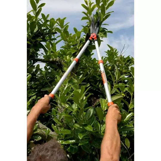 teleskopowe nożyce do żywopłotu 790-1040mm [PG-57-F]