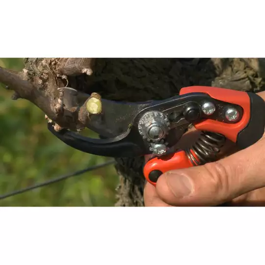 ergonomiczny sekator ogrodowy jednoręczny, rozmiar S, zakres 15mm Bahco [PX-S1] 