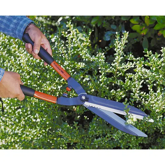 profesjonalne nożyce do żywopłotu Bahco [P51-F]