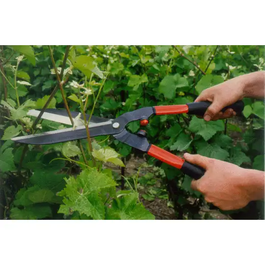 profesjonalne nożyce do żywopłotu Bahco [P51-F]